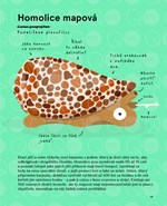 a10110f0010523_nejdesnejsi-zvirata-na-sv