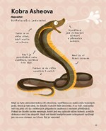 a10110f0010523_nejdesnejsi-zvirata-na-sv