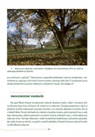 a101b0n0010406_fenomen-bile-karpaty-list