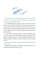 a10110F0011126_viktor-a-pripad-zmizeleho