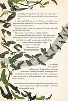 A10110F0011068_Harry-Potter-a-Kamen-mudr