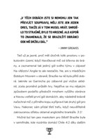 A101C0N0011487_Neuveritelny-fotbal-3_lis