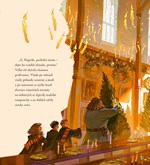 a10110f0010969_harry-potter-vanoce-v-bra