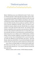 A10110F0010801_Deti-z-Bullerbynu-vyrocni