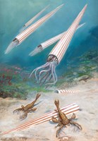 A101U0F0011004_atlas-prehistorickych-ziv