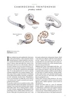 A101U0F0011004_atlas-prehistorickych-ziv