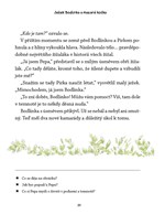 a101f0f0010032_jezek-bodlinka-a-mazana-k