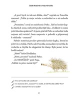 a101f0f0010032_jezek-bodlinka-a-mazana-k