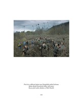 A101B0N0010274_Krehka_krasa_designu_list