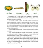 a101a0f0010549_medvidek-vilda-se-raduje-