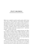 A10160F0003603_Remo-leto-s-mimozemstanem