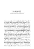 A10160F0003603_Remo-leto-s-mimozemstanem