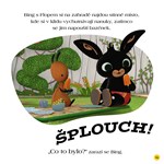 a101M0F0012265_bing-ctyri-rocni-obdobi-s