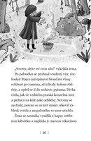 a101a0f0011391_osudovi-kamaradi-6-tajemn