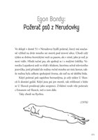 a101a0f0011117_psi-prihody-a-nehody-v-ce