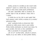 a101a0f0006332_kouzelna-domovni-znameni-