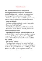 a10110F0010862_vanoce-v-sipkove-ulici-li