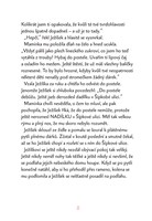 a10110F0010862_vanoce-v-sipkove-ulici-li