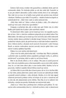 A101M0F0010304_s-trochou-stesti-list4.jp