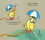 b102l10000401_velka-chutna-dazdovka_2.jp