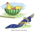 b102l10000401_velka-chutna-dazdovka_3.jp