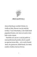 b102l10000568_mesacni-jazdci-2_burkovy_z