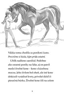 b102l10000568_mesacni-jazdci-2_burkovy_z