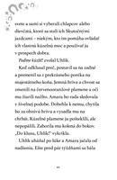 b102l10000568_mesacni-jazdci-2_burkovy_z