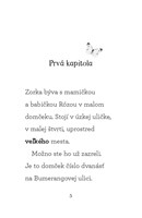 b102l10000571_co-robila-zorka-v-pondelok