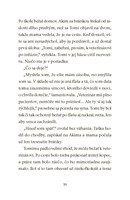 b102l10000707_zachranna-stanica-veverick