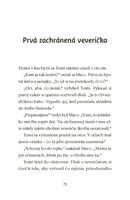 b102l10000707_zachranna-stanica-veverick