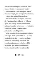 b102l10000994_ako-si-frankie-vyrobil-clo