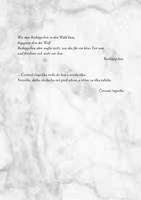 b10231f15436_selah-nebojacna-nevesta-lis