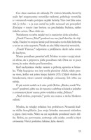 b10231f16027_tento-rok-som-nic-nezjedol-