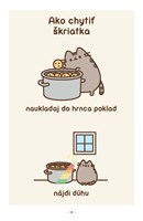 b102l10000862_macicka-pusheen-vie-vsetko