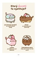 b102l10000862_macicka-pusheen-vie-vsetko