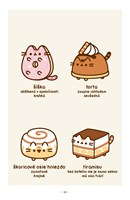 b102l10000862_macicka-pusheen-vie-vsetko