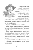 b102f0f2582_tigri tim-gladiatorov-zlaty-