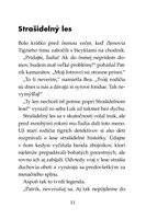 b102f0f9343_tigri-tim-utok-z-vesmiru-lis