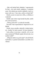 b102f0f9343_tigri-tim-utok-z-vesmiru-lis