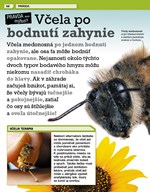 b102f1f16289_neuveritelny-svet-pravda-al