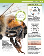 b102f1f16289_neuveritelny-svet-pravda-al