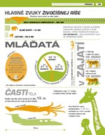 b102f1f16289_neuveritelny-svet-pravda-al