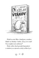 b102f1f16334_zvieraci-zachranari-poranen