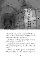 b102f1f16371_tigri-tim-fantom-z-futbalov