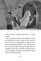 b102f1f16371_tigri-tim-fantom-z-futbalov