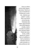 b102f1f16371_tigri-tim-fantom-z-futbalov