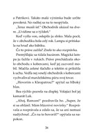 b102f1f16372_tigri-tim-demon-z-magickej-