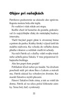 b102f1f16373_tigir-tim-majak-na-straside