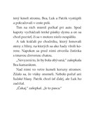 b102f1f16416_tigri-tim-dracie-tetovanie-